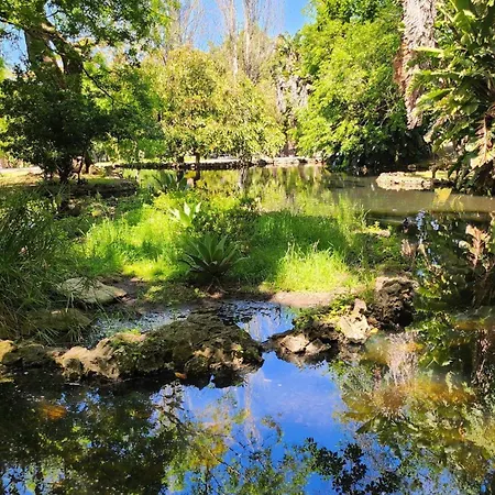 Near The Tagus River - Estrela *